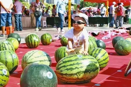 吃瓜网每日大赛最新入口